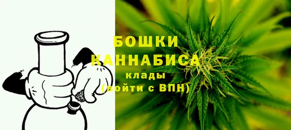 стафф Бородино