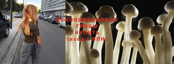 амф Бронницы