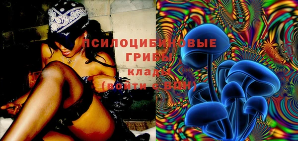 ПСИЛОЦИБИНОВЫЕ ГРИБЫ Богданович