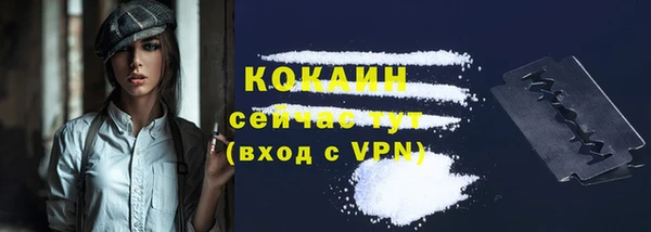 ПСИЛОЦИБИНОВЫЕ ГРИБЫ Богданович