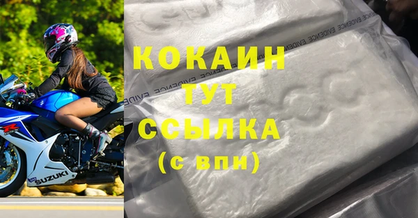 ПСИЛОЦИБИНОВЫЕ ГРИБЫ Богданович