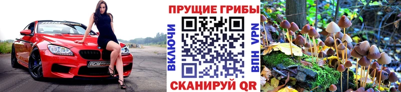 кракен как войти даркнет сайт Гаврилов-Ям Псилоцибиновые грибы GOLDEN TEACHER